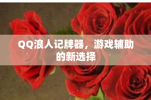 游戏辅助的新选择图片