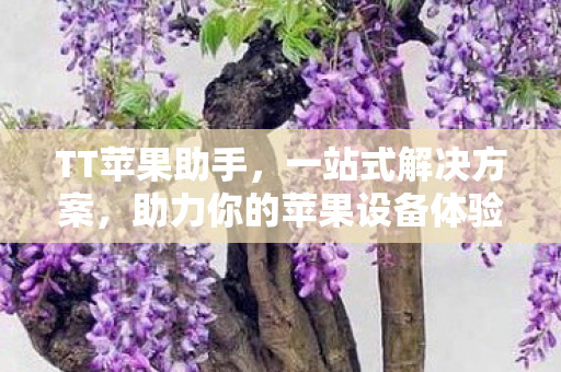 助力你的苹果设备体验升级图片
