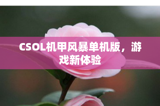 CSOL机甲风暴单机版图片
