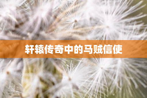 轩辕传奇中的马贼信使图片