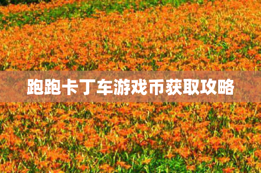 跑跑卡丁车游戏币获取攻略图片