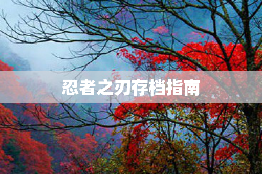 忍者之刃存档指南图片