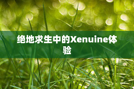 绝地求生中的Xenuine体验图片