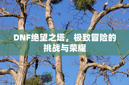 极致冒险的挑战与荣耀图片