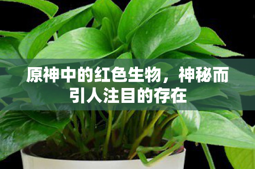 神秘而引人注目的存在图片