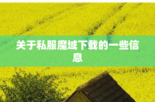 关于私服魔域下载的一些信息图片