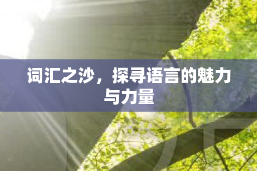 探寻语言的魅力与力量图片