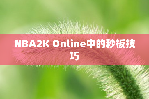 NBA2K Online中的秒板技巧图片