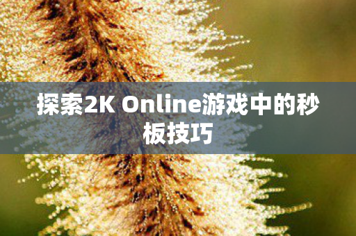 探索2K Online游戏中的秒板技巧图片