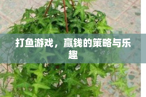 赢钱的策略与乐趣图片