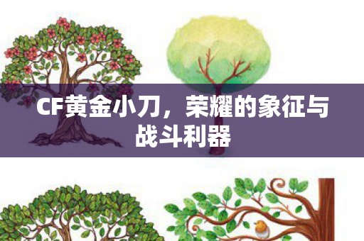 荣耀的象征与战斗利器图片