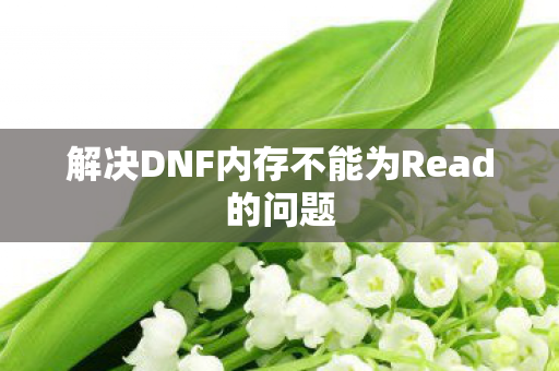 解决DNF内存不能为Read的问题图片