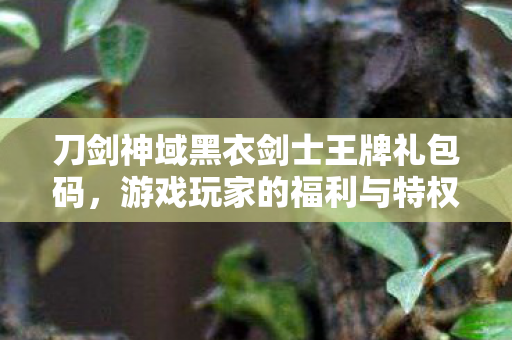 刀剑神域黑衣剑士王牌礼包码图片