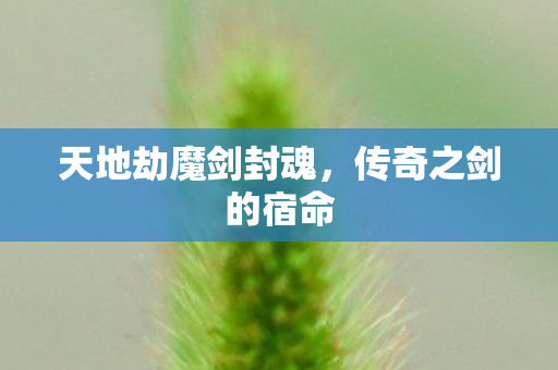 天地劫魔剑封魂图片