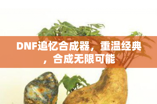 DNF追忆合成器图片