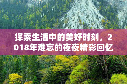 2018年难忘的夜夜精彩回忆图片