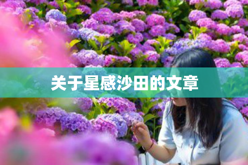 关于星感沙田的文章图片