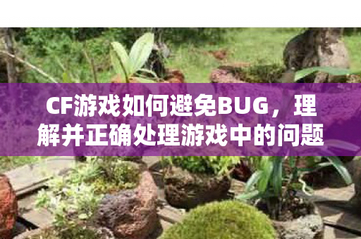 理解并正确处理游戏中的问题图片