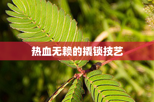 热血无赖的撬锁技艺图片