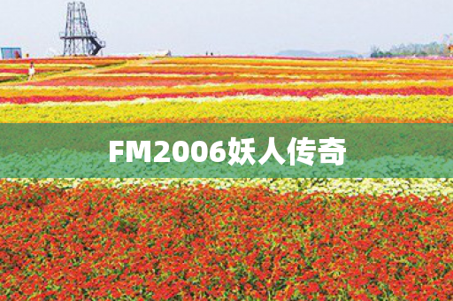 FM2006妖人传奇图片