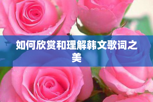 如何欣赏和理解韩文歌词之美图片
