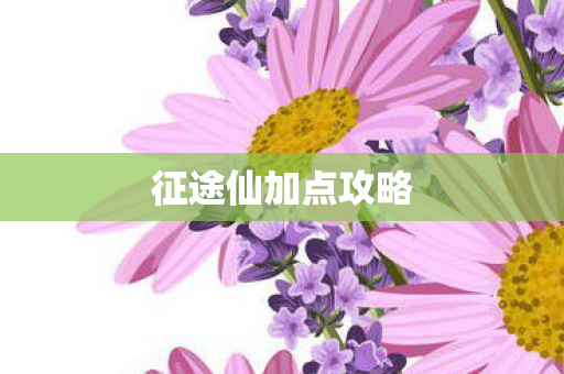 征途仙加点攻略图片