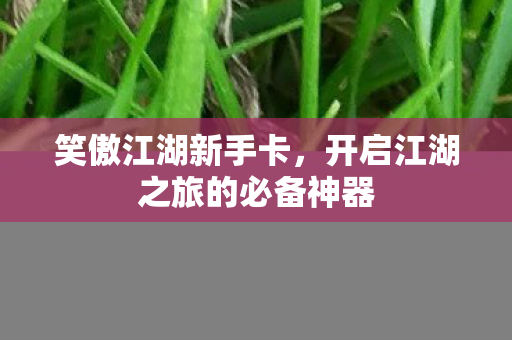 开启江湖之旅的必备神器图片