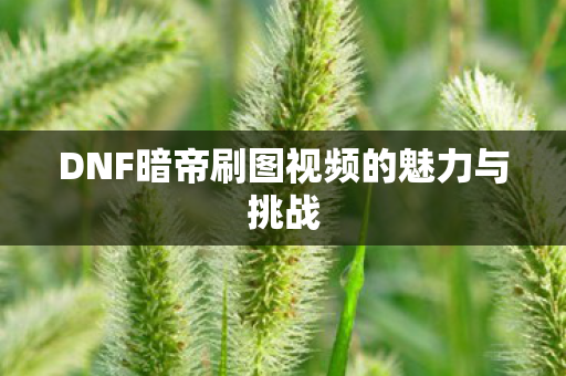 DNF暗帝刷图视频的魅力与挑战图片