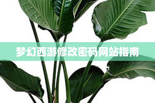 梦幻西游修改密码网站指南图片