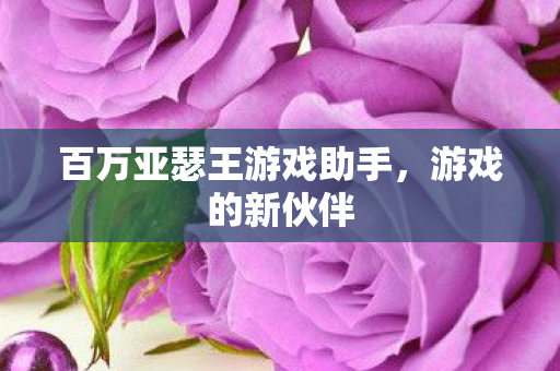 百万亚瑟王游戏助手图片