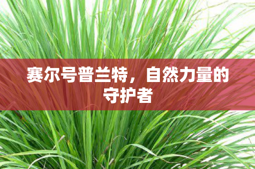 自然力量的守护者图片