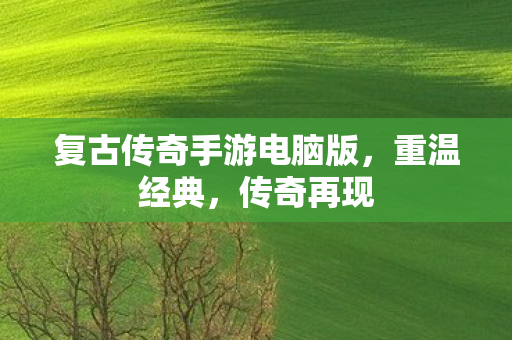 复古传奇手游电脑版图片