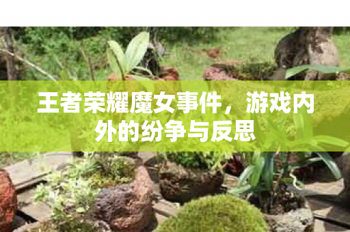 游戏内外的纷争与反思图片