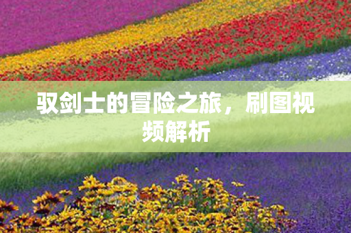 驭剑士的冒险之旅图片