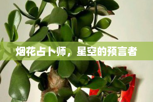 星空的预言者图片