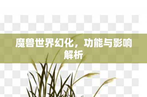 功能与影响解析图片