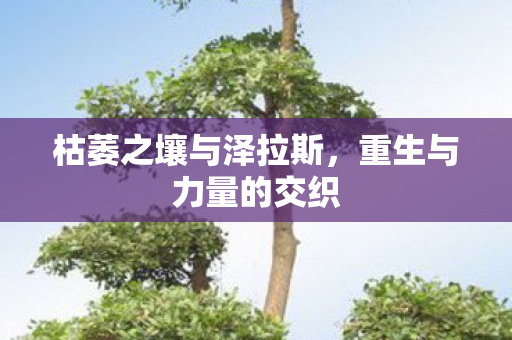 枯萎之壤与泽拉斯图片