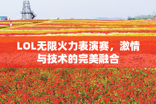 LOL无限火力表演赛图片