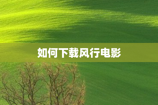 如何下载风行电影图片