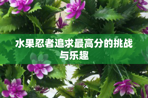 水果忍者追求最高分的挑战与乐趣图片