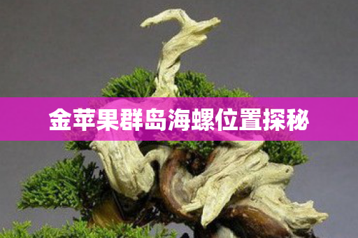 金苹果群岛海螺位置探秘图片