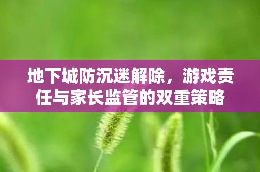 游戏责任与家长监管的双重策略图片