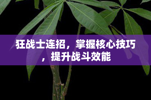 掌握核心技巧图片