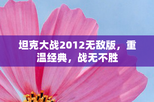 坦克大战2012无敌版图片