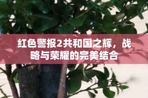 红色警报2共和国之辉图片