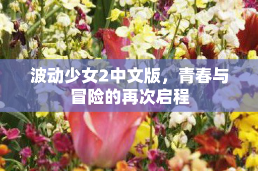 青春与冒险的再次启程图片