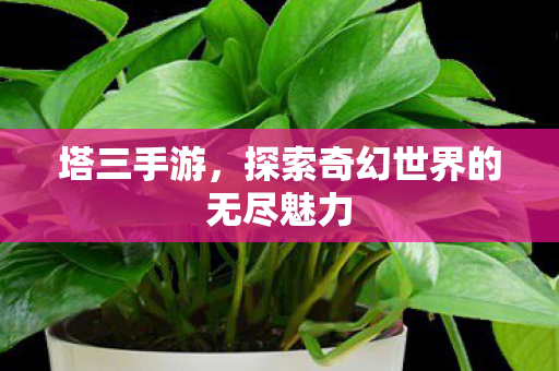 探索奇幻世界的无尽魅力图片
