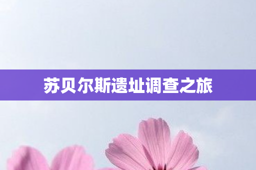 苏贝尔斯遗址调查之旅图片