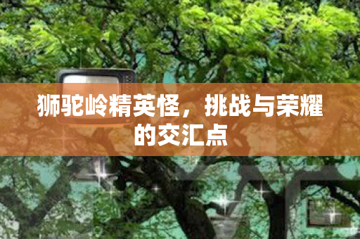 挑战与荣耀的交汇点图片