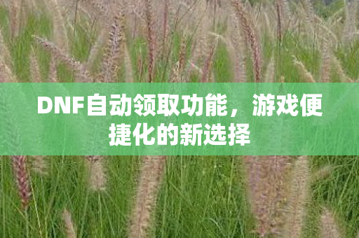 DNF自动领取功能图片